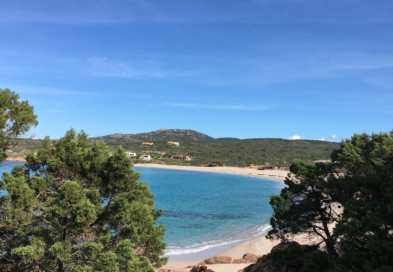 Appartamento a Trinità d´Agultu e Vignola - Affittimoderni Isola Rossa  Élite - PATI24