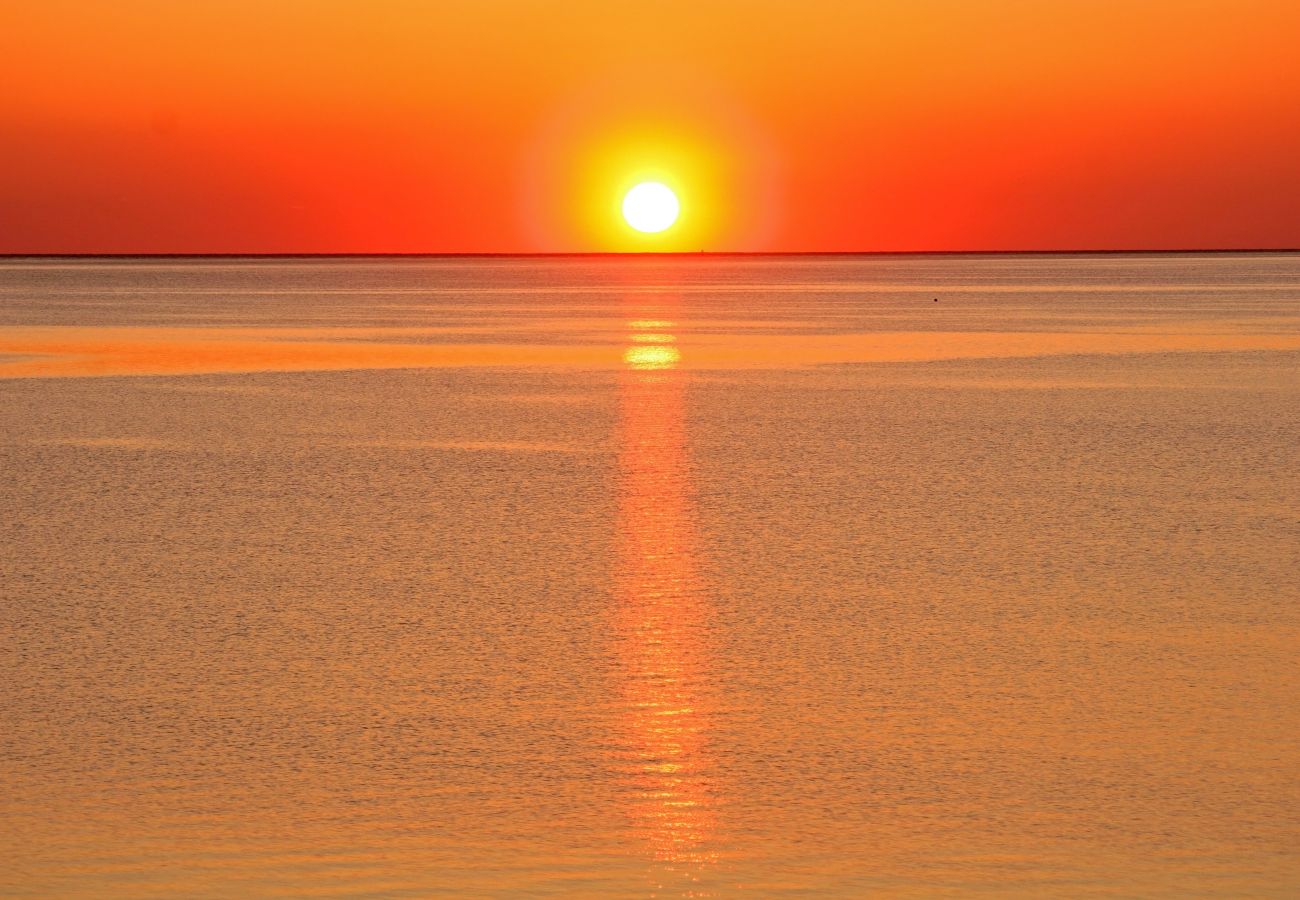 Appartamento a Trinità d´Agultu e Vignola - Affittimoderni Isola Rossa  Élite - PATI24