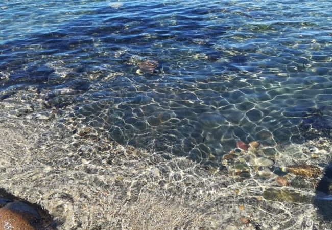 Appartamento a Viddalba - Affittimoderni Viddalba Bouganville - VIBO21 Appartamento a Viddalba - Affittimoderni Viddalba Bouganville - VIBO21