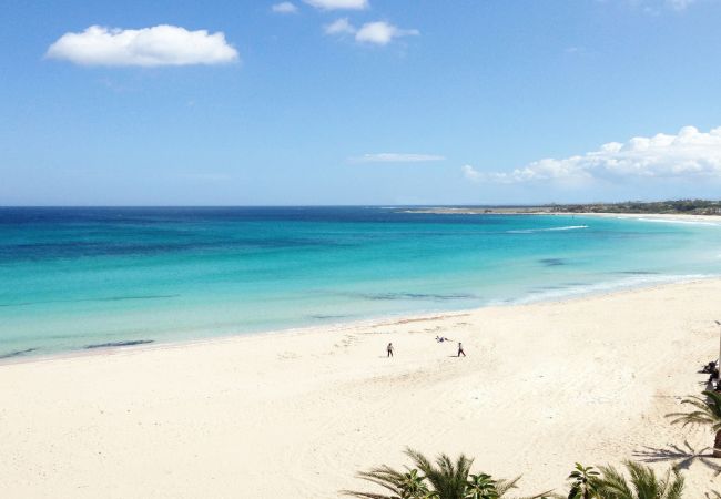 Appartamento a Viddalba - Affittimoderni Viddalba Bouganville - VIBO11 Appartamento a Viddalba - Affittimoderni Viddalba Bouganville - VIBO11