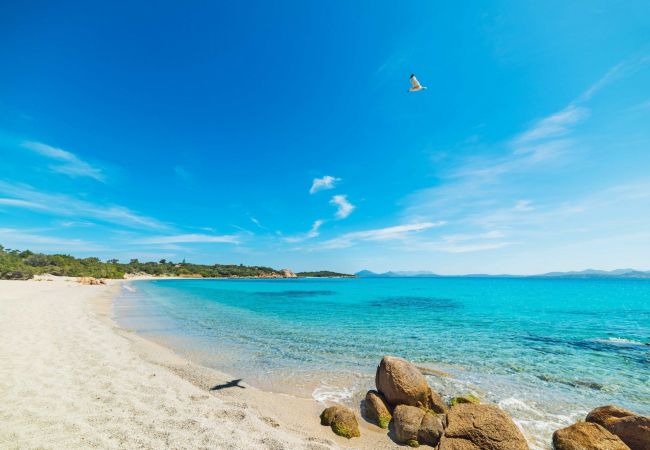 Appartamento a La Maddalena - Affittimoderni La Maddalena - MADA26 Appartamento a La Maddalena - Affittimoderni La Maddalena - MADA26