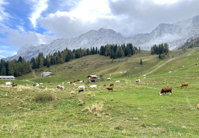 Appartamento a Valleve - Affittimoderni San Simone - VALS37 Appartamento a Valleve - Affittimoderni San Simone - VALS37