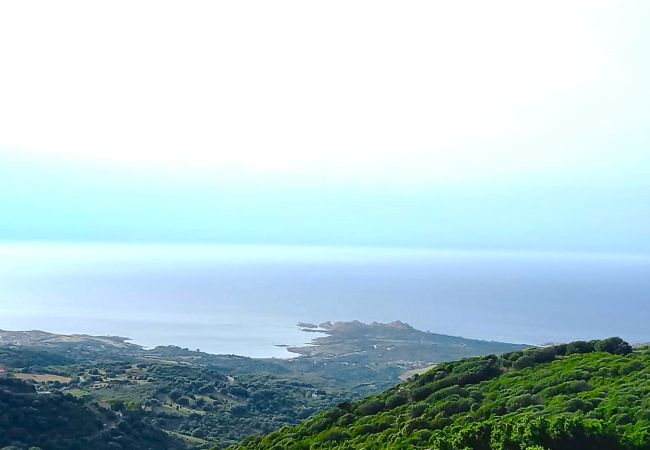 Appartamento a Trinità d´Agultu e Vignola - Affittimoderni Trinità D'Agultu View Appartamento a Trinità d´Agultu e Vignola - Affittimoderni Trinità D'Agultu View
