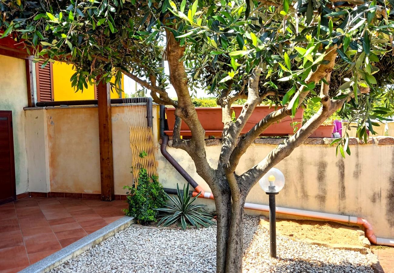 Appartamento a Valledoria - Affittimoderni Valledoria Ulivo