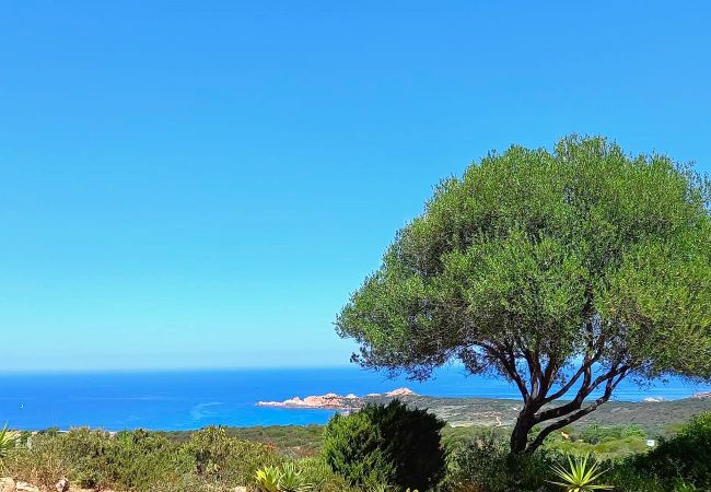 Appartamento a Trinità d´Agultu e Vignola - Affittimoderni Paduledda - Domo Poseida Appartamento a Trinità d´Agultu e Vignola - Affittimoderni Paduledda - Domo Poseida