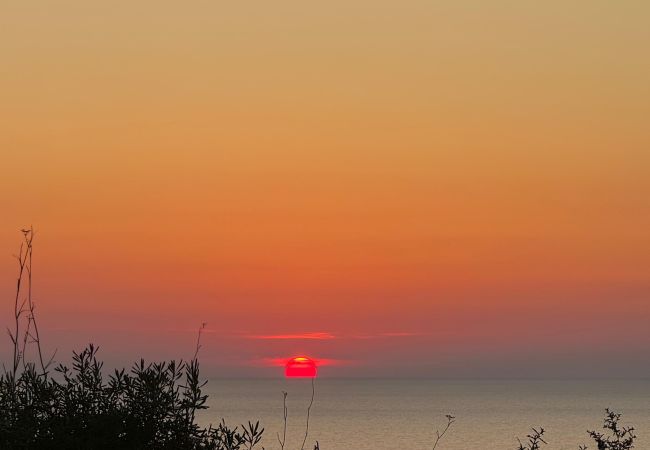 Appartamento a Trinità d´Agultu e Vignola - Affittimoderni Paduledda - Domo Poseida Appartamento a Trinità d´Agultu e Vignola - Affittimoderni Paduledda - Domo Poseida