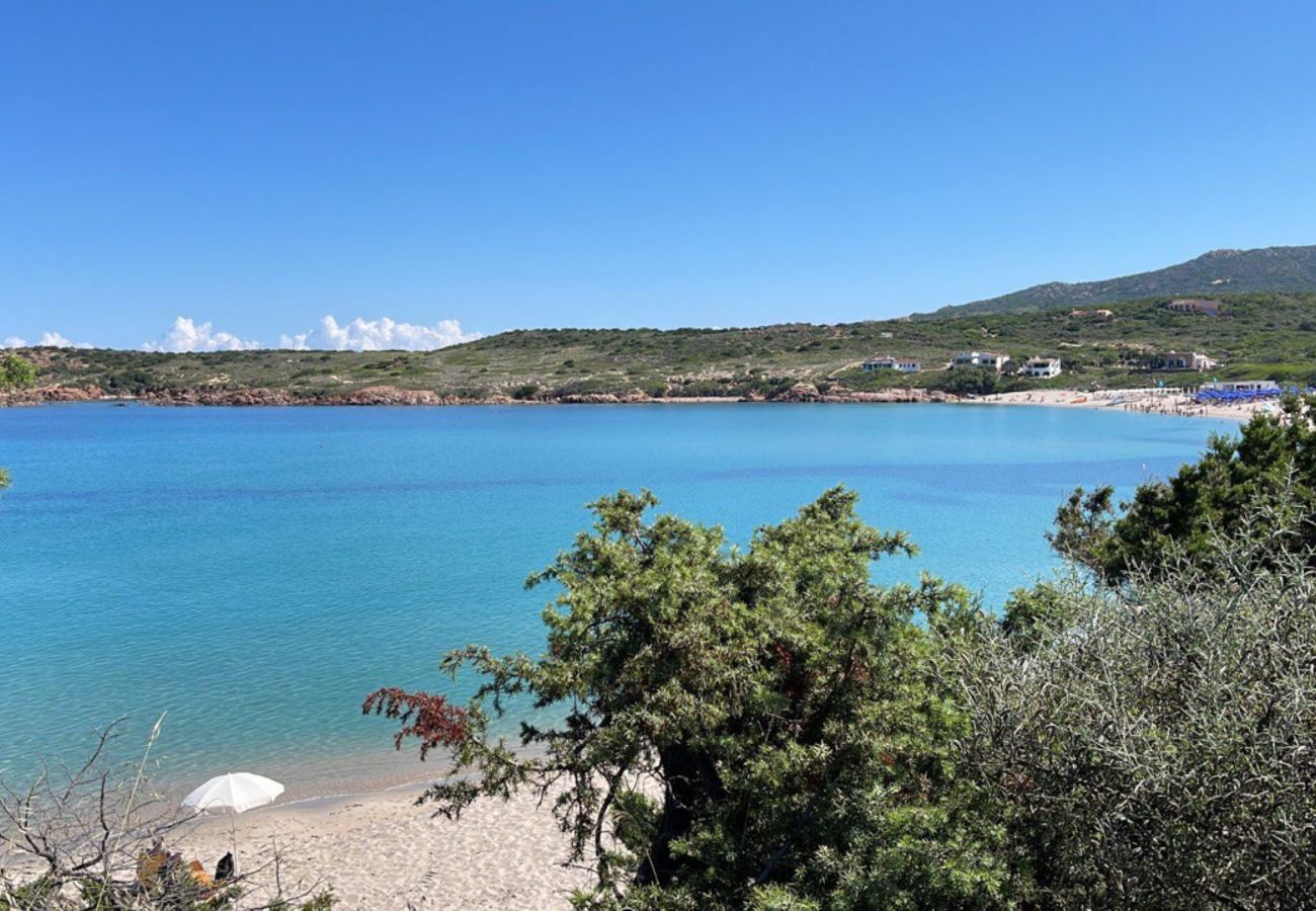 Appartamento a Trinità d´Agultu e Vignola - Affittimoderni Trinità D'Agultu - La Splendida
