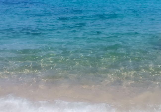 Appartamento a Viddalba - Affittimoderni Viddalba - Cavalluccio Marino Appartamento a Viddalba - Affittimoderni Viddalba - Cavalluccio Marino