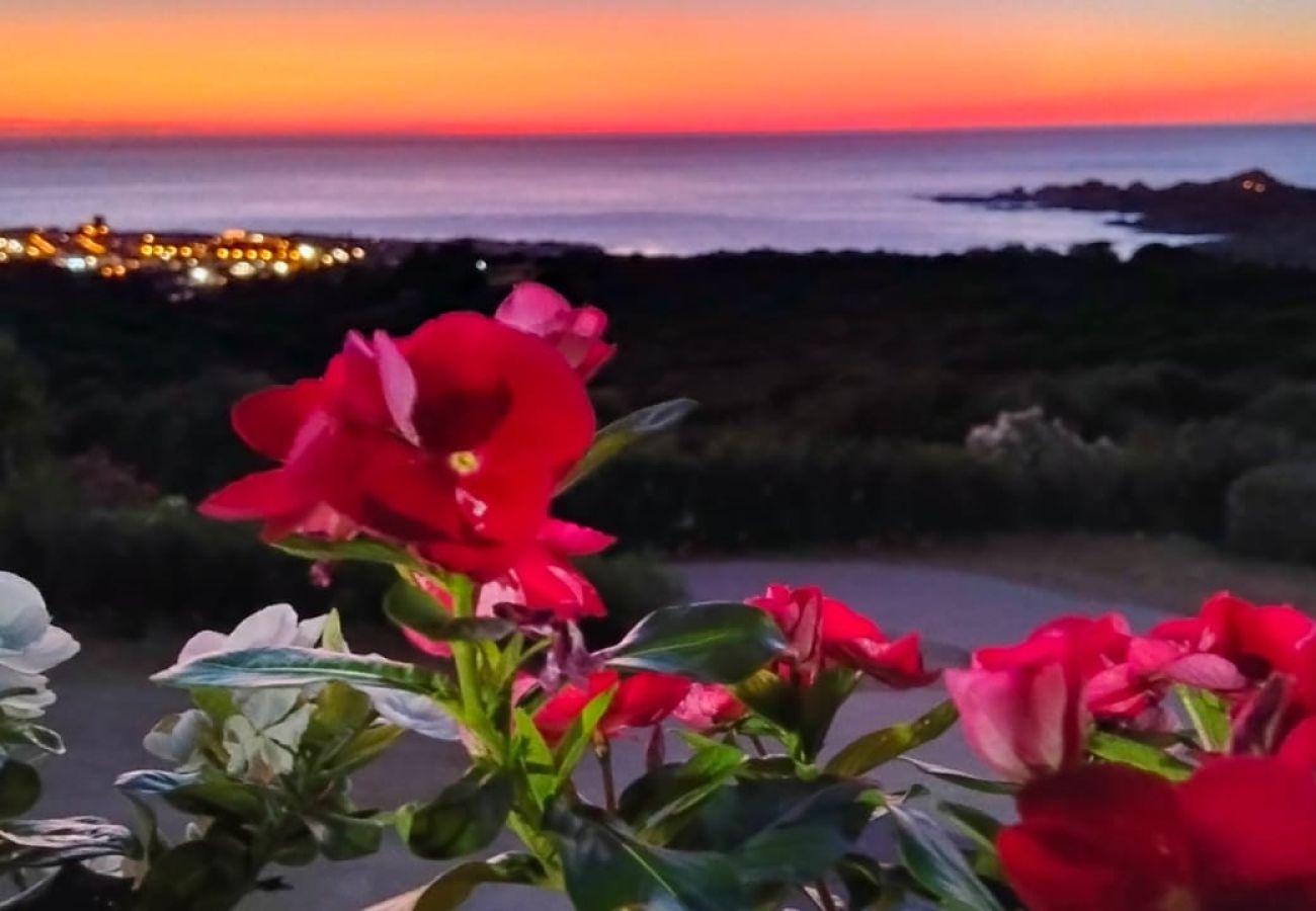 Appartamento a Trinità d´Agultu e Vignola - Affittimoderni Paduledda - Residence Fantasy