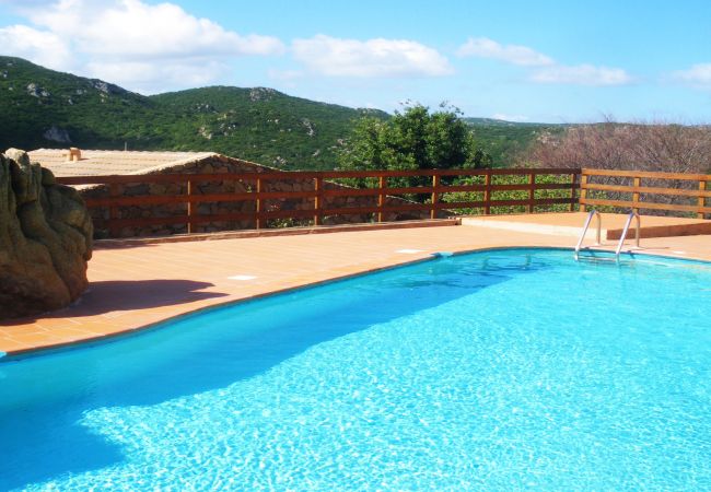 Apartment in Costa Paradiso - Affittimoderni Costa Paradiso La Falata Apartment in Costa Paradiso - Affittimoderni Costa Paradiso La Falata