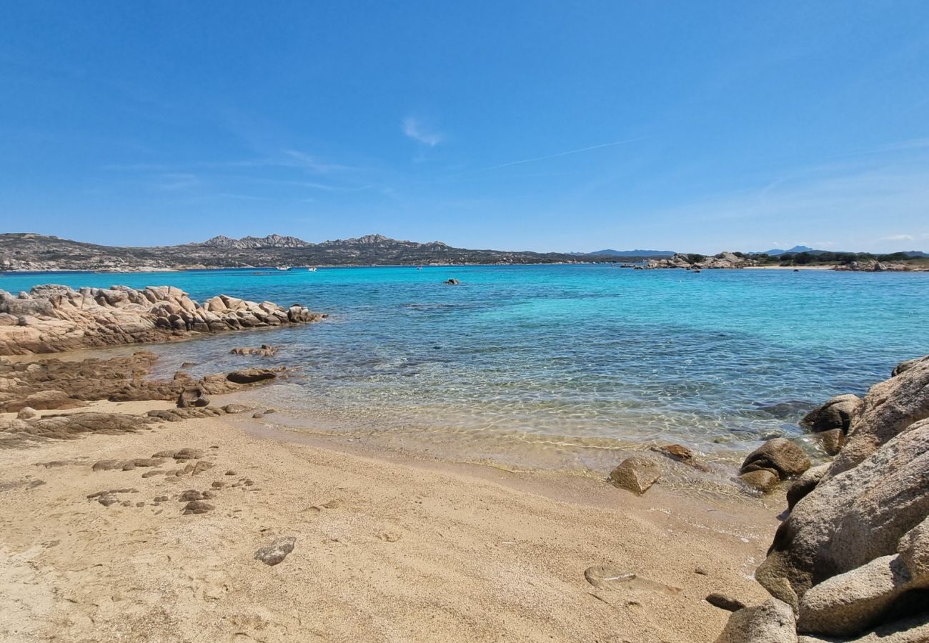 Apartment in La Maddalena - Affittimoderni La Maddalena - MADA19