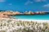 Apartment in La Maddalena - Affittimoderni La Maddalena - MADA19 Apartment in La Maddalena - Affittimoderni La Maddalena - MADA19