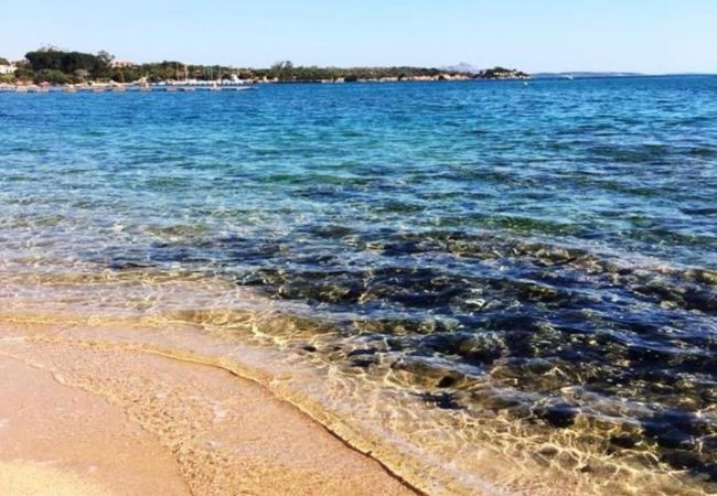 Apartamento en Viddalba - Affittimoderni Viddalba Bouganville - VIBO09 Apartamento en Viddalba - Affittimoderni Viddalba Bouganville - VIBO09