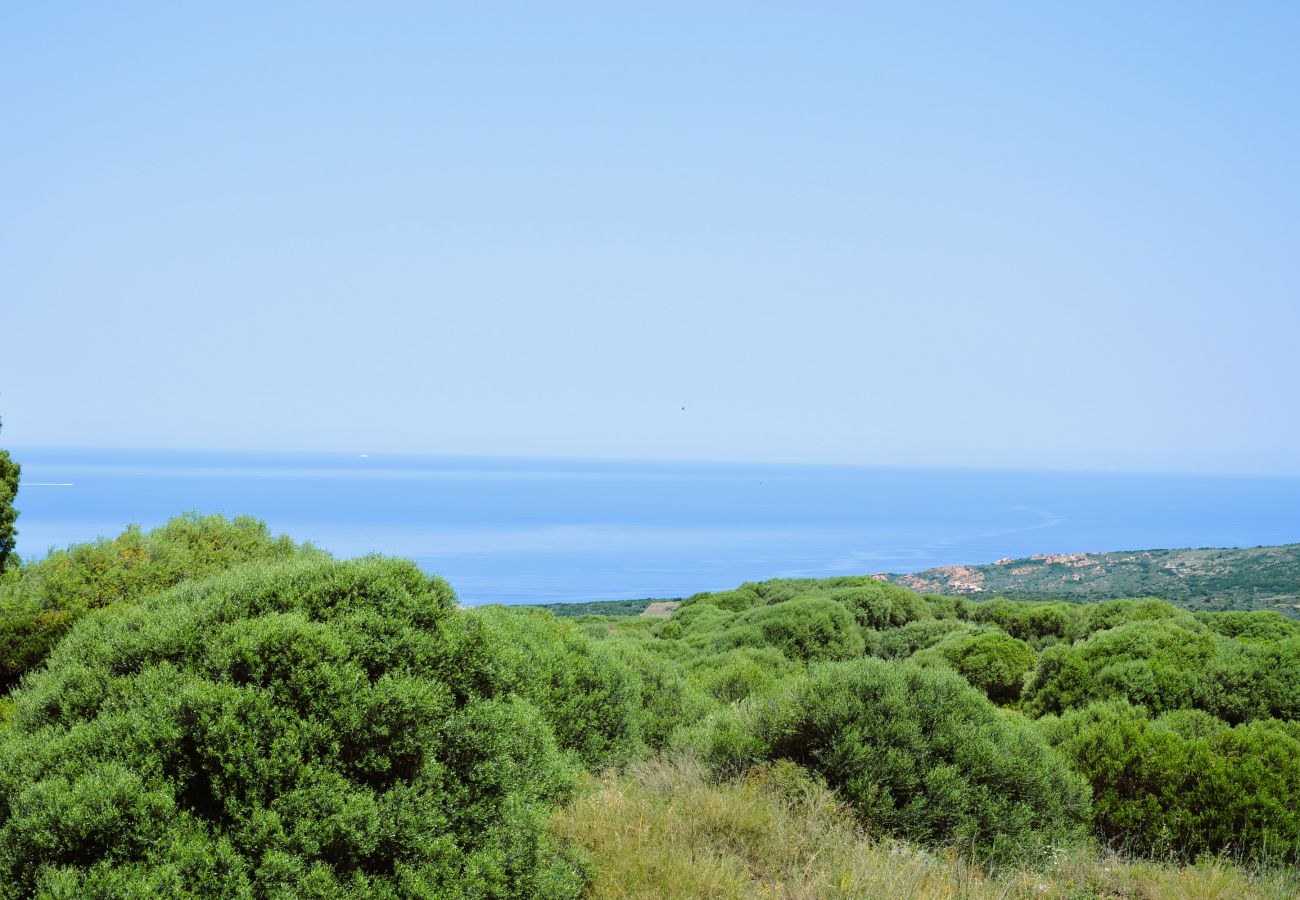 Apartamento en Trinità d´Agultu e Vignola - Affittimoderni Isola Rossa Paduledda - PADU07