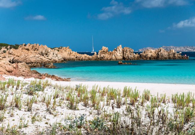 Apartamento en La Maddalena - Affittimoderni La Maddalena - MADA19 Apartamento en La Maddalena - Affittimoderni La Maddalena - MADA19