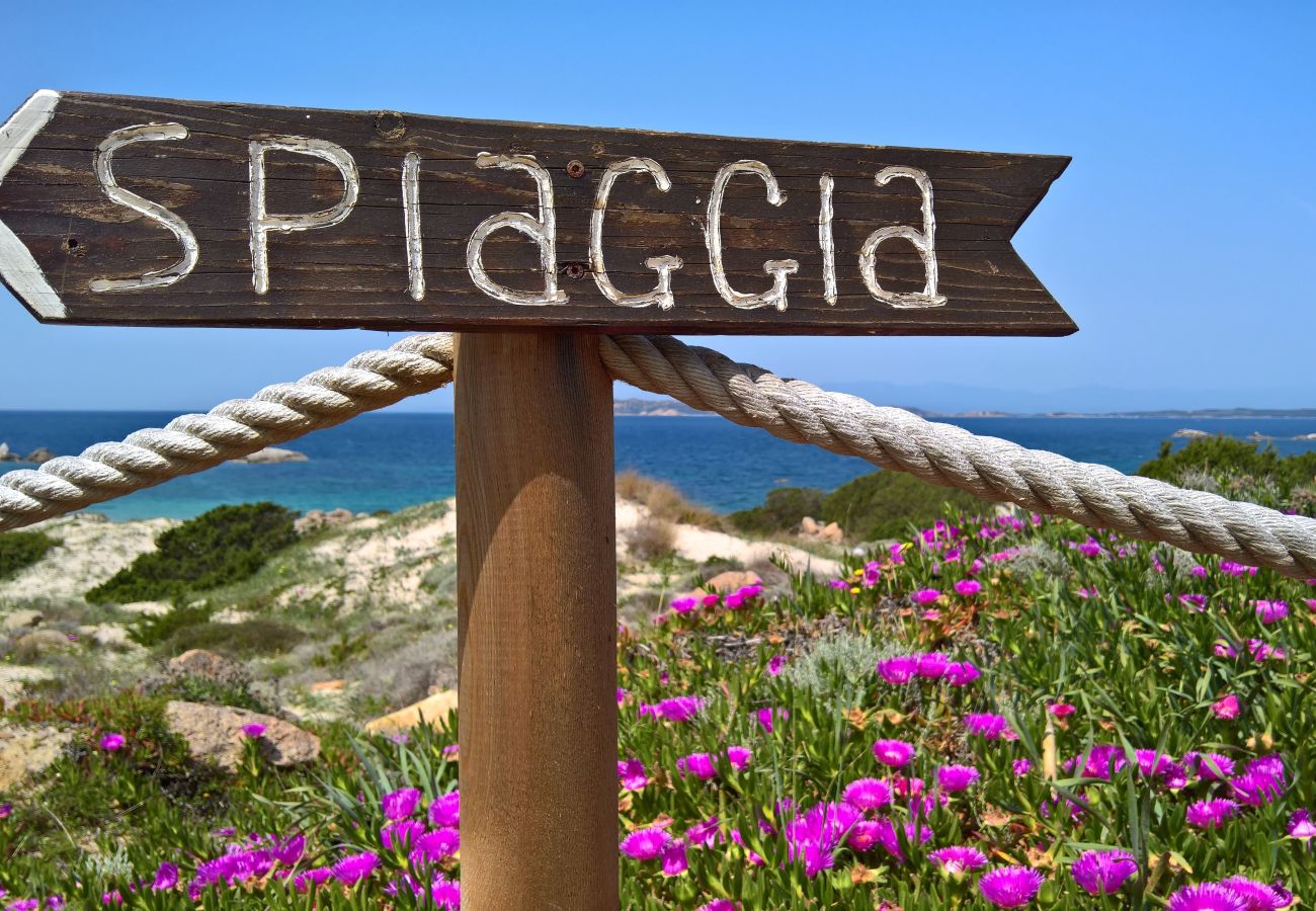 Apartamento en La Maddalena - Affittimoderni La Maddalena - MADA39