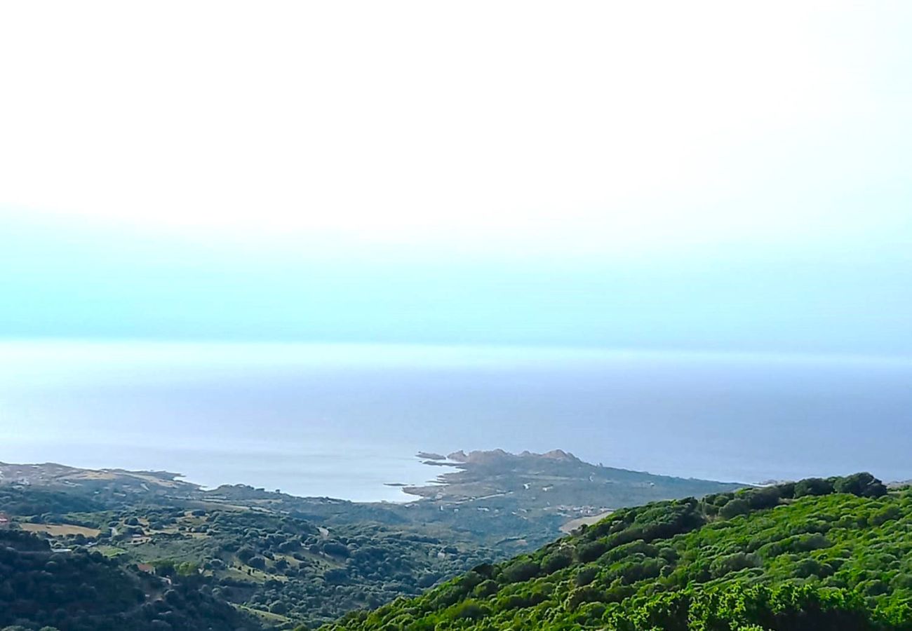 Apartamento en Trinità d´Agultu e Vignola - Affittimoderni Trinità D'Agultu View