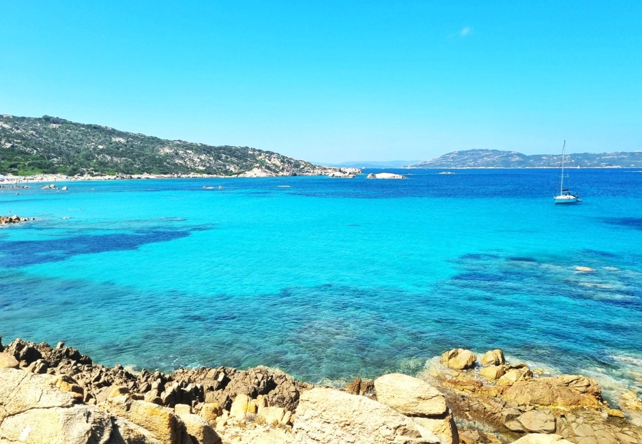 Apartamento en La Maddalena - Affittimoderni La Maddalena - MADA21