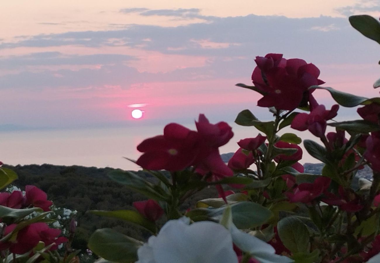 Apartamento en Trinità d´Agultu e Vignola - Affittimoderni Paduledda - Residence Fantasy