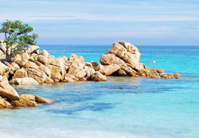 Appartement à Badesi -  Affittimoderni Badesi - La Casa di Renata Appartement à Badesi -  Affittimoderni Badesi - La Casa di Renata