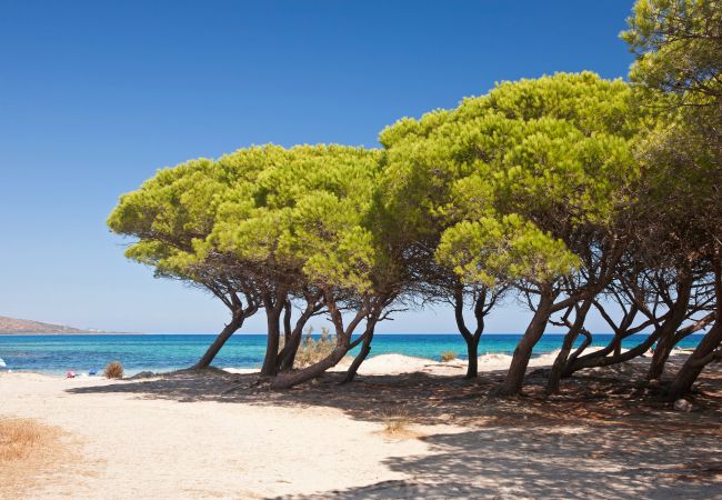 Appartement à Valledoria - Affittimoderni Valledoria Sunset - CICA10 Appartement à Valledoria - Affittimoderni Valledoria Sunset - CICA10