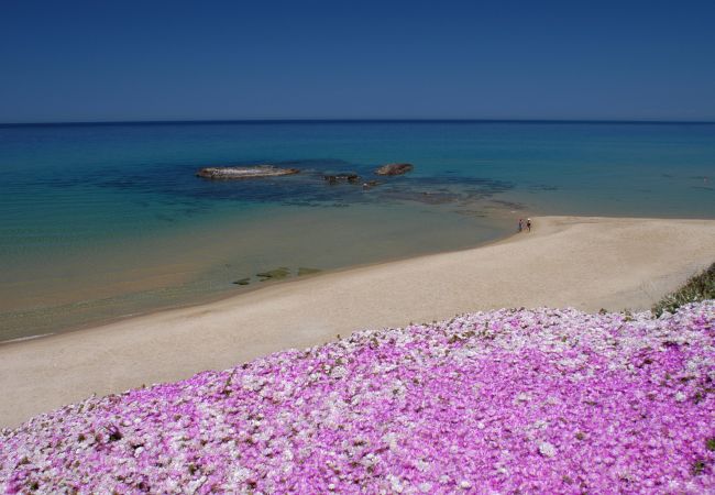 Appartement à Valledoria - Affittimoderni Valledoria Sunset - CICA10 Appartement à Valledoria - Affittimoderni Valledoria Sunset - CICA10