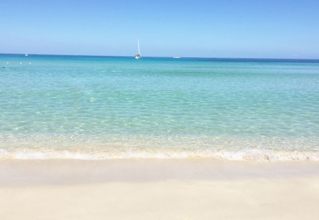 Appartement à Viddalba - Affittimoderni Viddalba Bouganville - VIBO11 Appartement à Viddalba - Affittimoderni Viddalba Bouganville - VIBO11