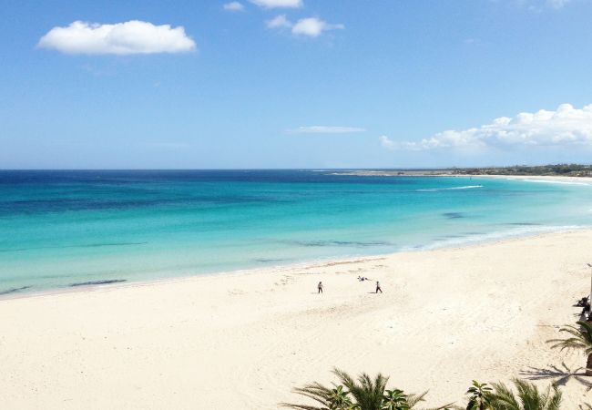 Appartement à Viddalba - Affittimoderni Viddalba Bouganville - VIBO07 Appartement à Viddalba - Affittimoderni Viddalba Bouganville - VIBO07