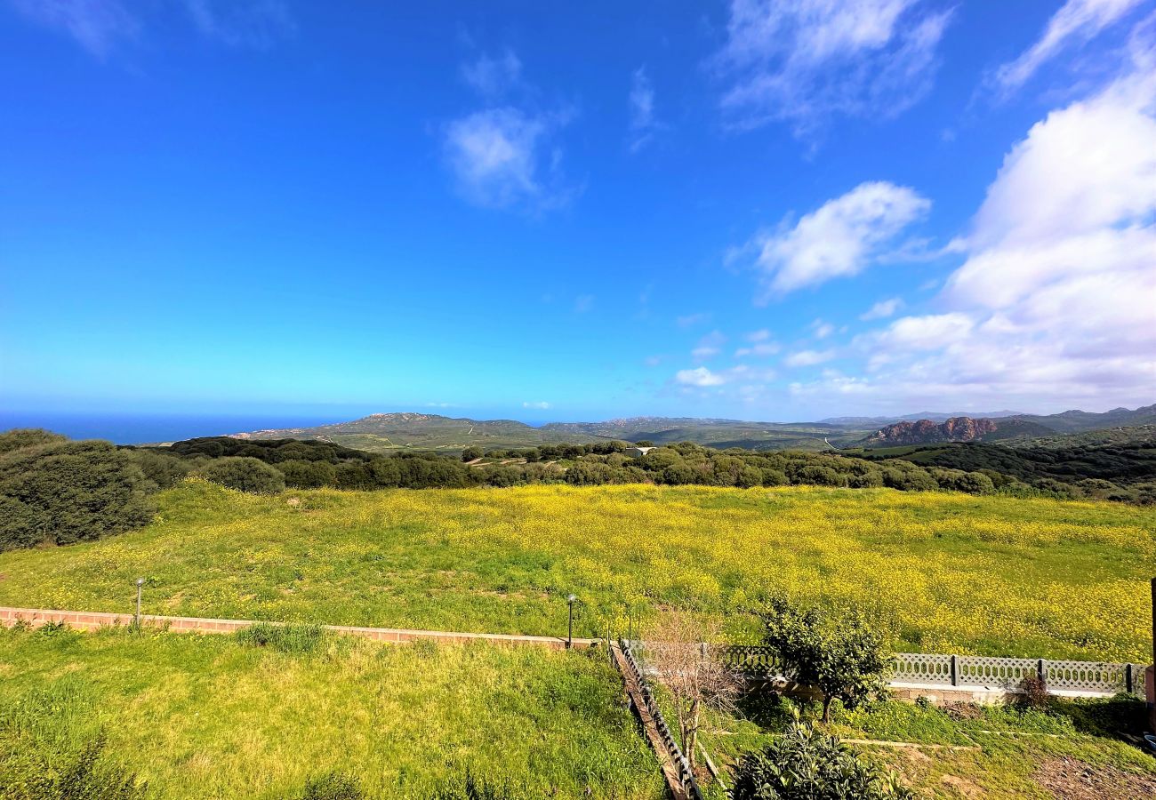 Appartement à Trinità d´Agultu e Vignola - Affittimoderni Isola Rossa Paduledda - PADU07