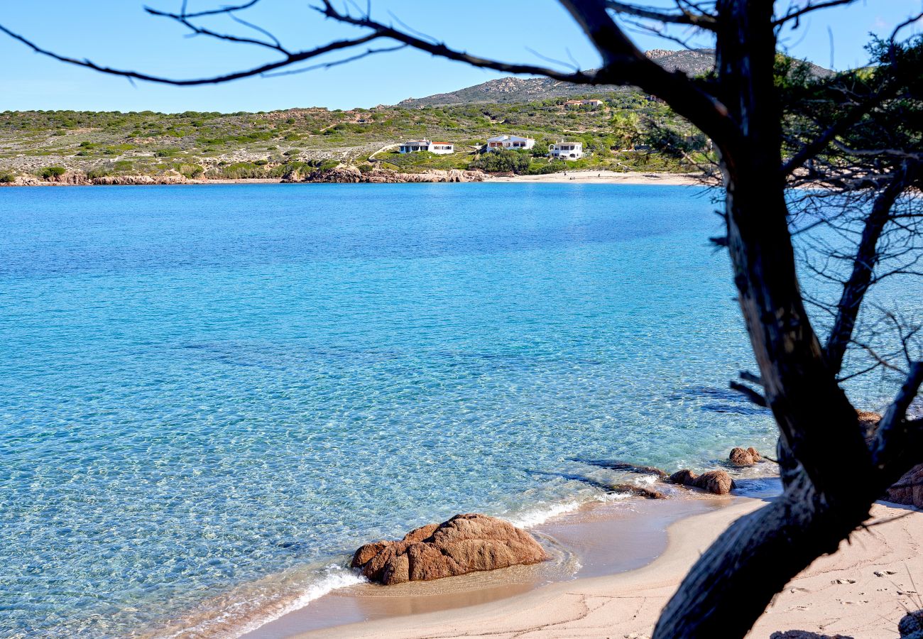 Appartement à Trinità d´Agultu e Vignola - Affittimoderni Isola Rossa Paduledda - PADU07