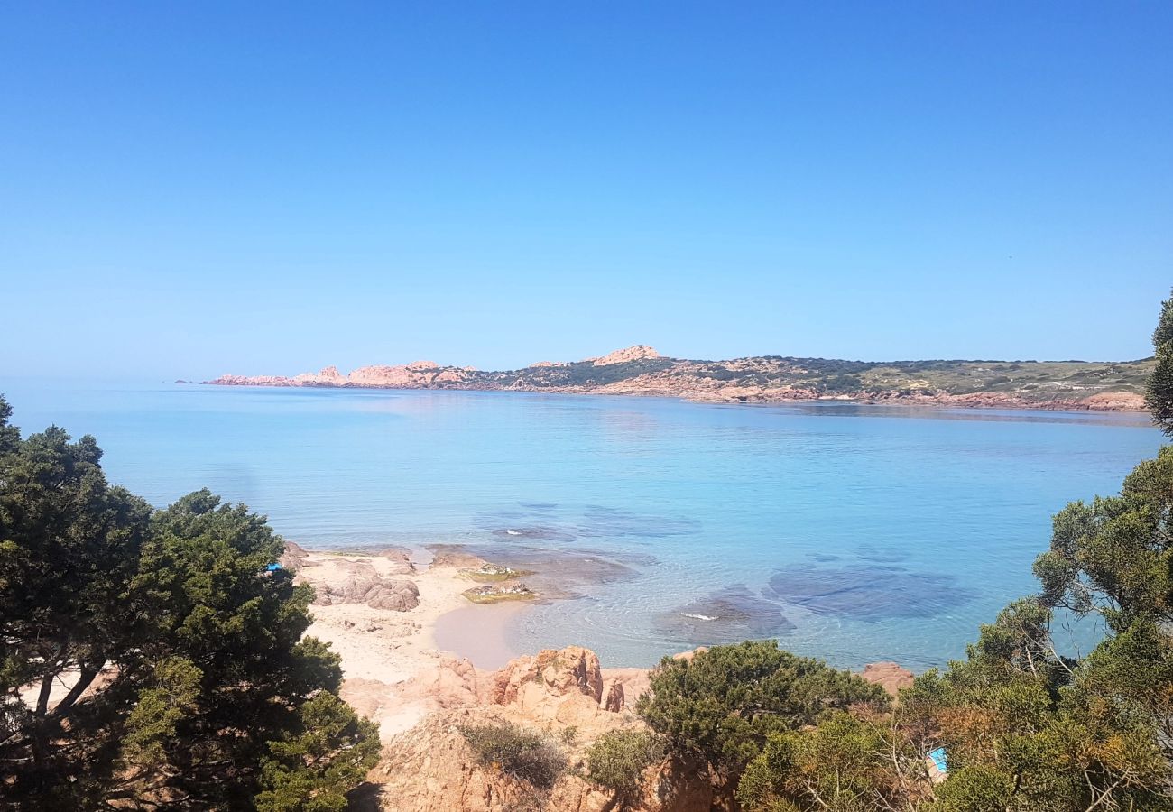 Appartement à Trinità d´Agultu e Vignola - Affittimoderni Isola Rossa Paduledda - PADU07