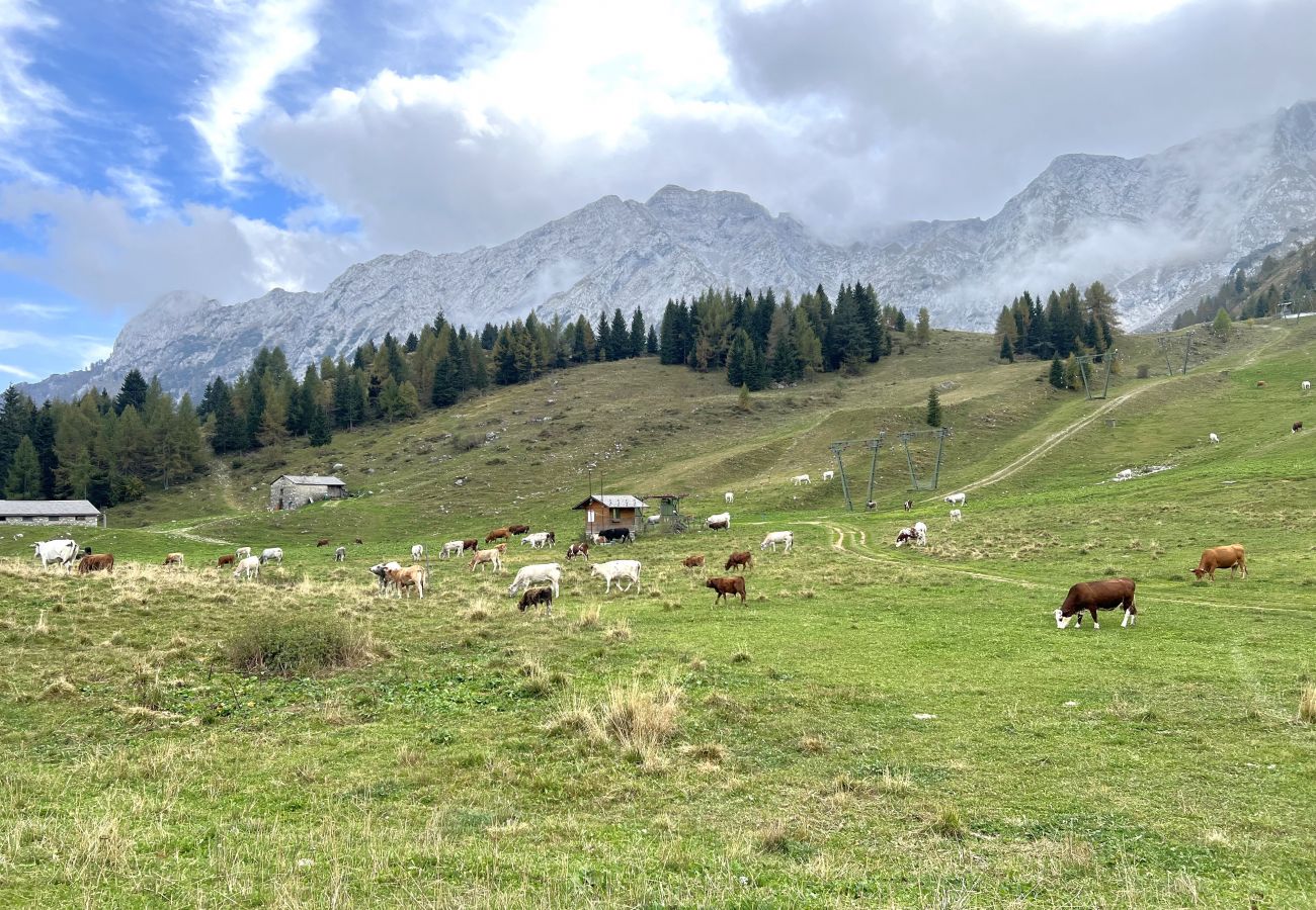 Appartement à Valleve - Affittimoderni San Simone - VALS37