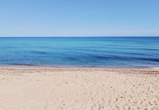 Appartement à Badesi - Affittimoderni Baia delle Mimose-Domus Fulviae  Appartement à Badesi - Affittimoderni Baia delle Mimose-Domus Fulviae