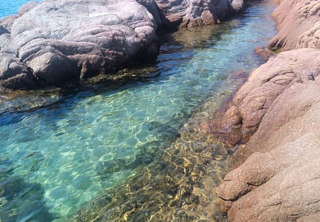 Appartement à Viddalba - Affittimoderni Viddalba - Cavalluccio Marino Appartement à Viddalba - Affittimoderni Viddalba - Cavalluccio Marino