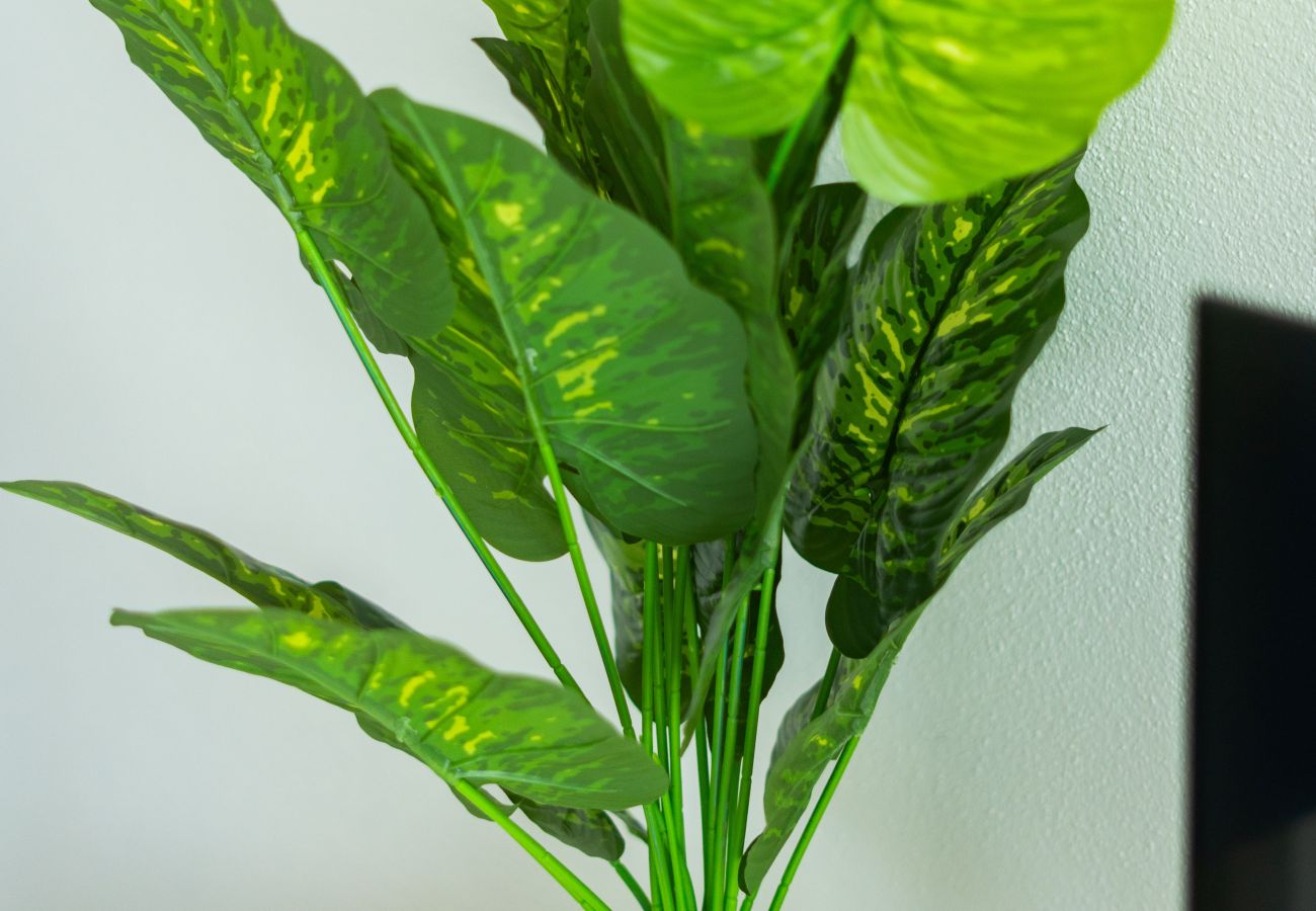 Appartement à Castelsardo - Affittimoderni Castelsardo - Boutique